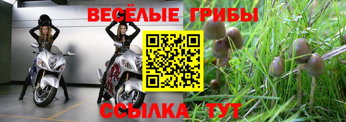 Галлюциногенные грибы прущие грибы  Псилоцибиновые грибы ЛСД  Вход с VPN  купить наркотики сайты  Волжский 